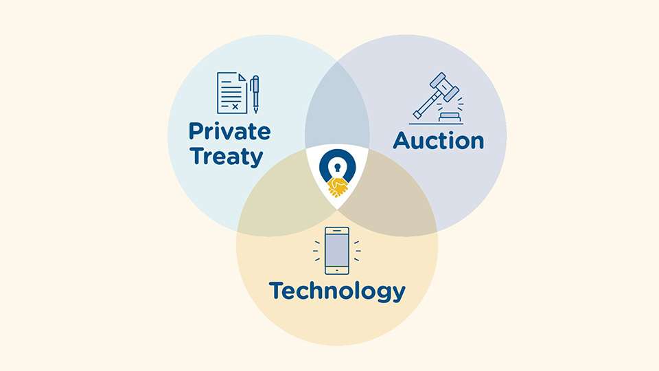 Auction-venndiagram-Jan-07-2022-09-15-10-23-AM-Jan-15-2022-08-30-57-90-AM